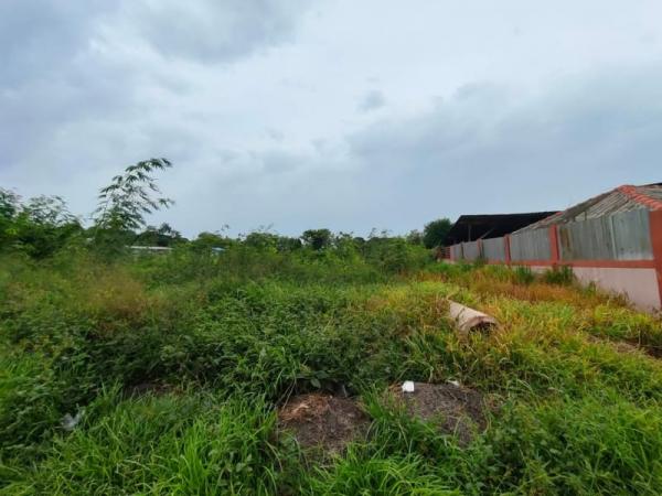 ที่ดิน pattaya ที่ดิน pattaya