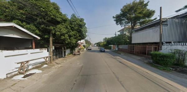 �����ѡ��� �� HarrisonTH