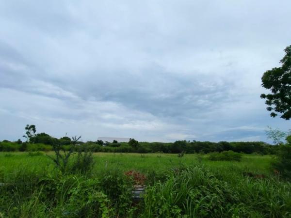 ที่ดิน pattaya ที่ดิน pattaya