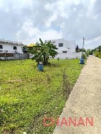 ���Թ �ҧ�