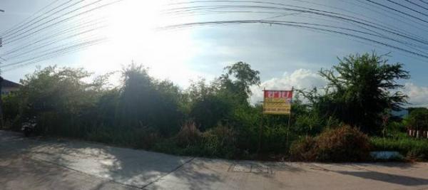 ��ا෾ �� zionasset1