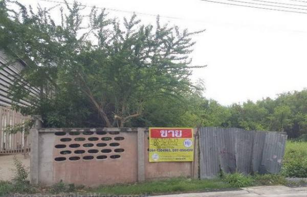 ��ا෾ �� zionasset1