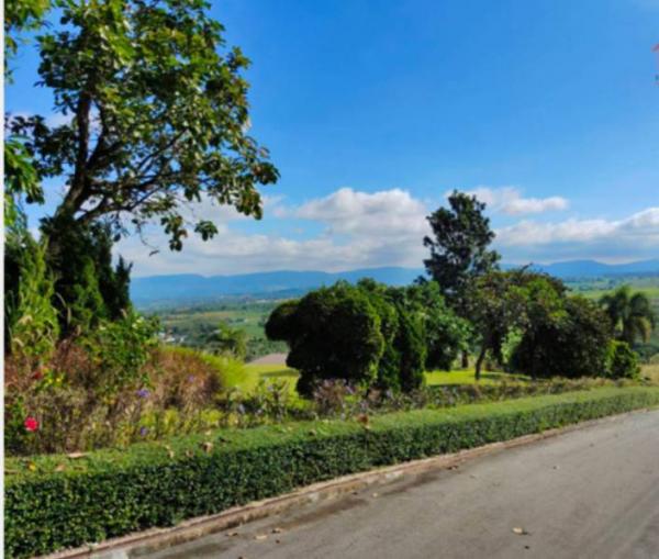 ����Ҫ���� �� ritthichai