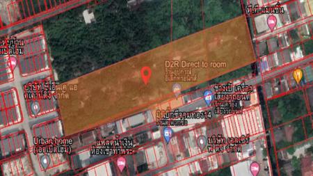 ���ͧ �� incube