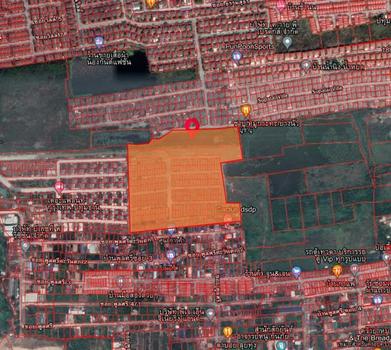 ���ͧ �� incube