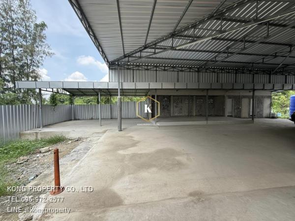 ⡴ѧ��û�� �� Kong property