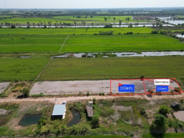 ��ù�¡ �� kulchaya1