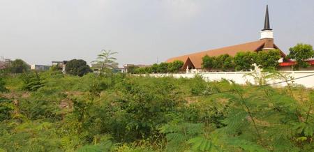 ���ͧ �� incube