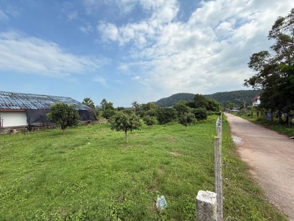 ������� �� Noname2023