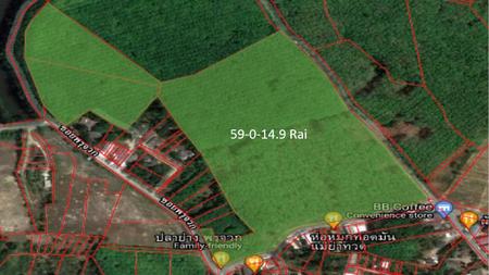 ��ҧ ���� �� incube