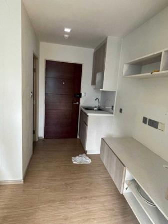 �͹�BTS ������