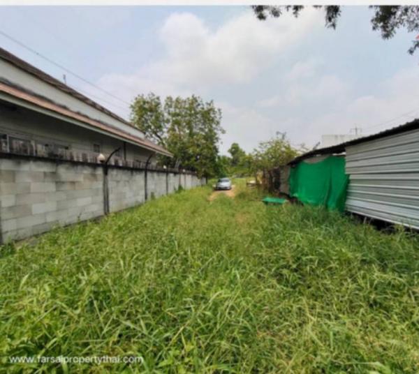 ����Ѳ�� �� ritthichai