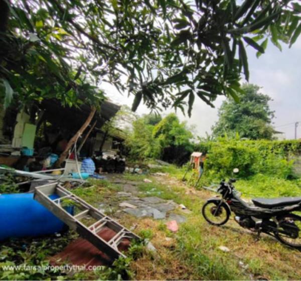 �ҧ�� �� ritthichai