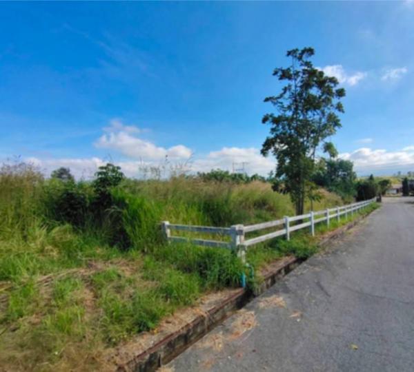 ����Ҫ���� �� ritthichai