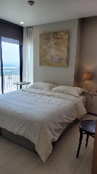 ��� ��������Ҥ͹� �ҹ����