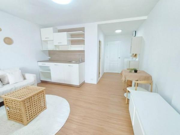 ��ºҧ�л� �� coasset22