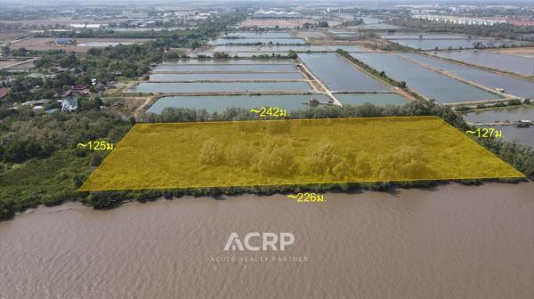 �ҧ�С� �� Acute Realty Partner