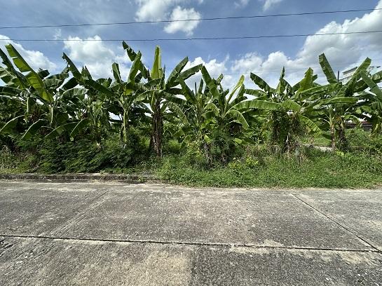 �س�ҹت ���ѷá��