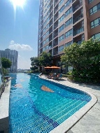 ������ �͹�