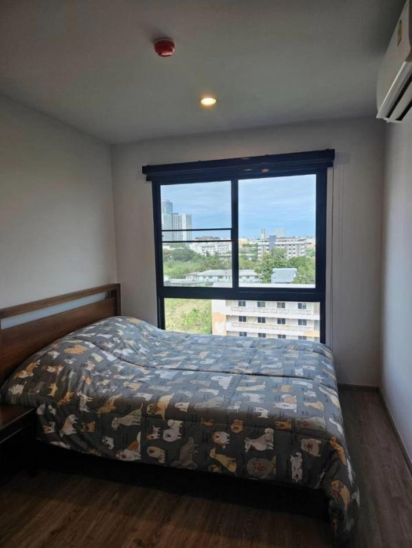 ���ͧ �� PP9REALESTATE