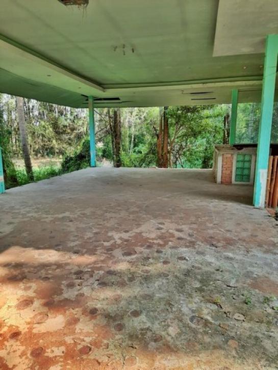 ��º�ҹ �ҧ ��§����