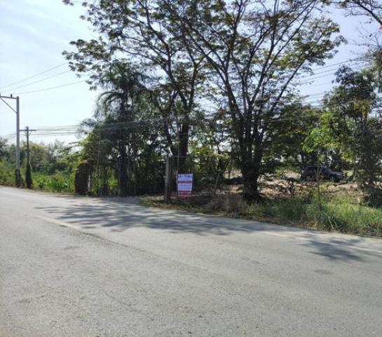 ��»����ҹ� �� ritthichai