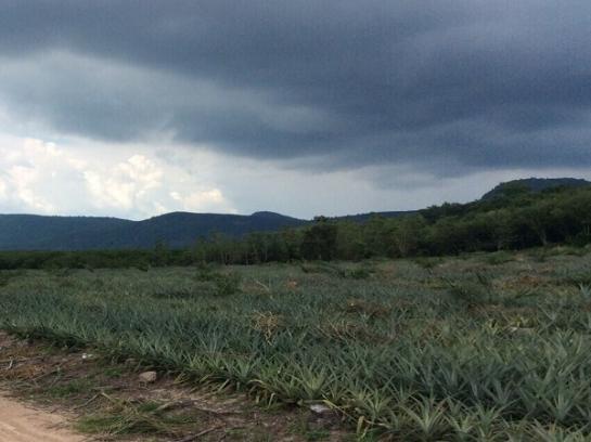 ���ͧ �� ritthichai