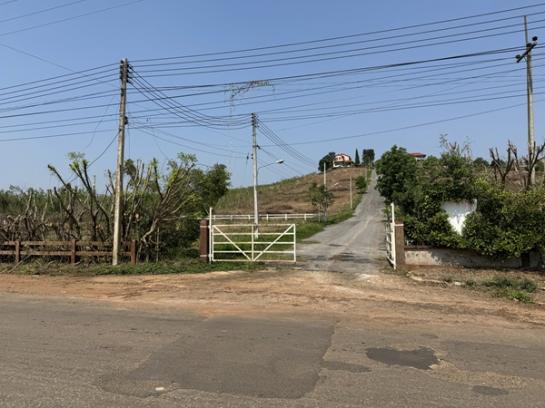 ����Ҫ���� �� ritthichai