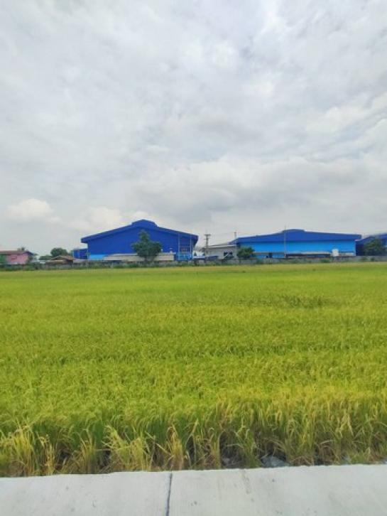 ที่ดิน 5 ไร่ ที่ดิน 5 ไร่