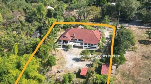 ��ҹ������ �� Sawasdee