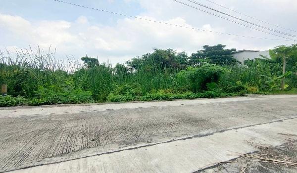 ˹ͧ�� �� Baan Bangkok Broker