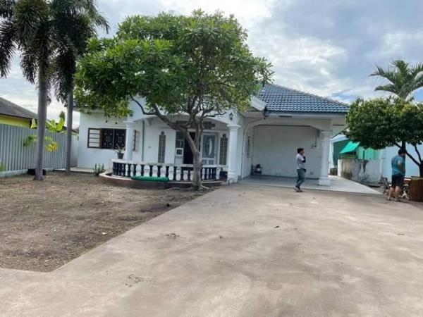 �ź��� �� kulchaya1