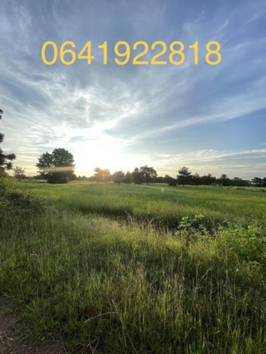 �͹�� �� sopa