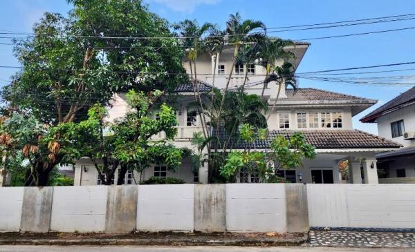 �Ң�ѭ �Ź�����