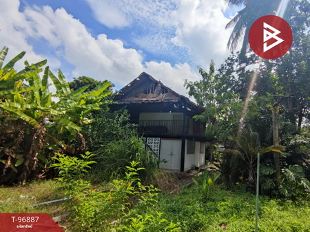 ��û�� �� The Best Property Agent