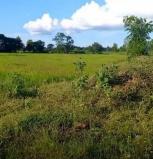 ��·��Թ �Ⱥ�ŵӺ����ͧ��