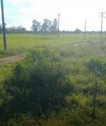 ��� ���Թ �Ⱥ�ŵӺ����ͧ��