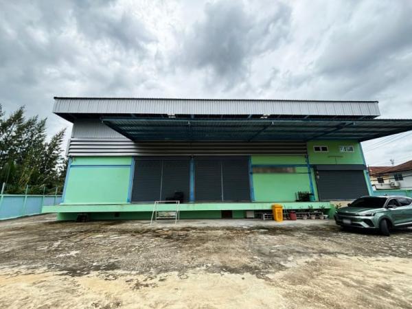 ��¹������ �� 1000property