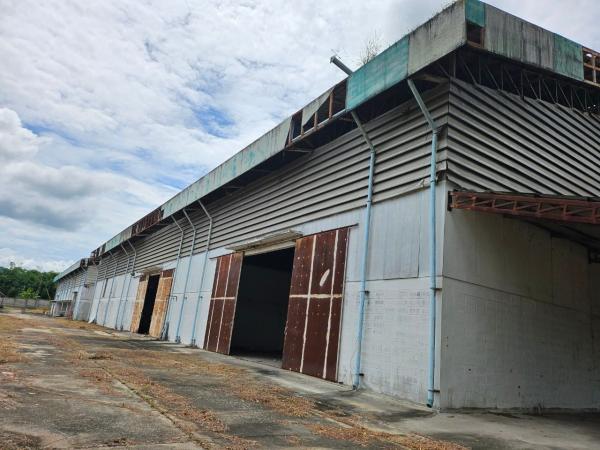 ��ͷͧ �� goodlada24