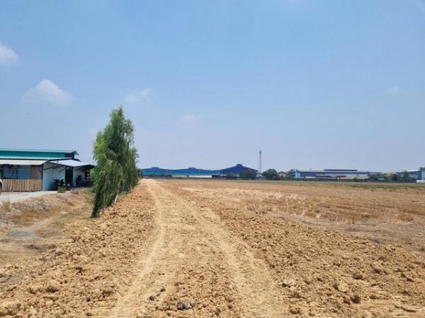 ���ԧ��� �� coasset22