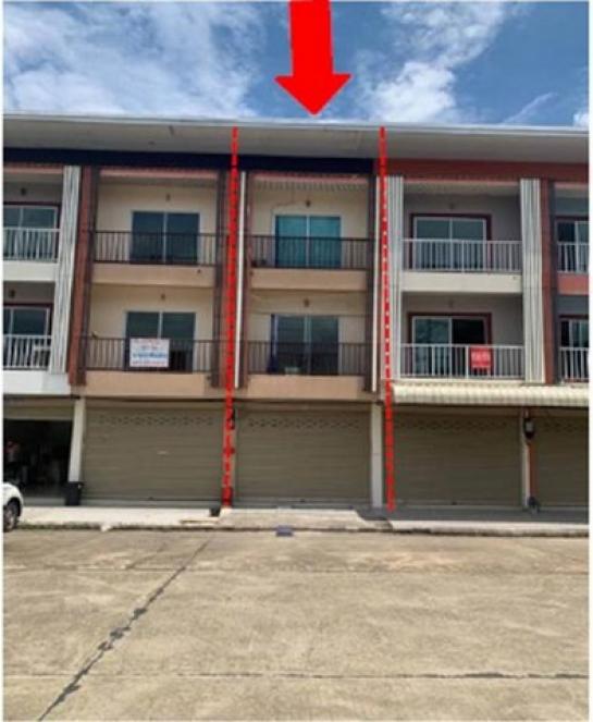 �ҧ�� �� panaya.opalopal