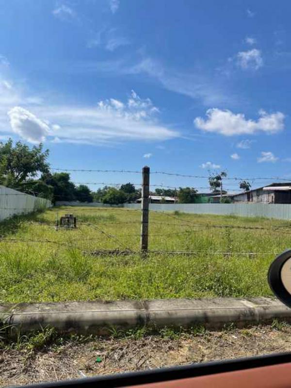 ที่ดิน pattaya ที่ดิน pattaya