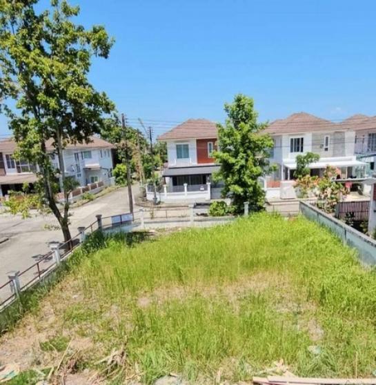 ���� �� kulchaya1