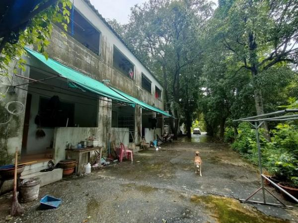 ���Թ lotus 200 ���ҧ��