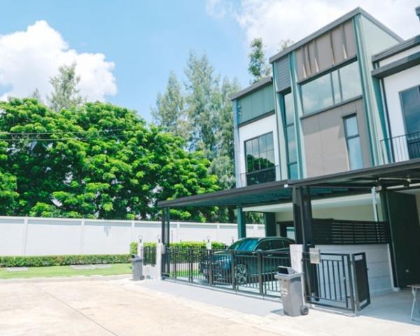 ��ǹ�����Թ������ ������