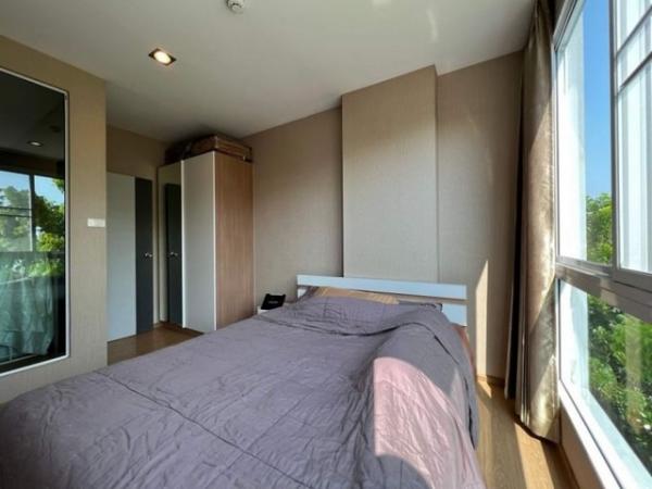 �͹����ͧ �� northern1