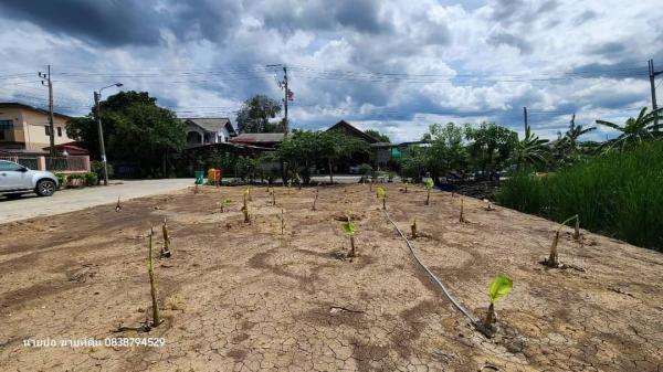 ที่ดินตลิ่งชัน บางระมาด ที่ดินตลิ่งชัน บางระมาด