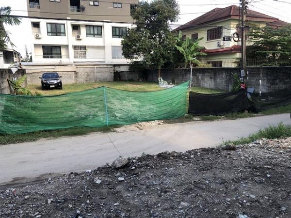 ���Թ Lotus �ҧ����