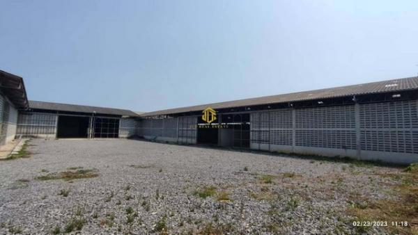 ⡴ѧ ÃÐÂͧ ⡴ѧ ÃÐÂͧ