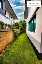 ��ҹ����� �ҧ�л�